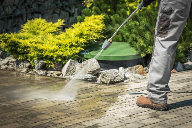Best Driveway Pressure Washing  in Fountainhead Orchard Hills, MD